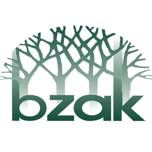 Bzak_favicon