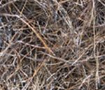 Pine Straw (bales) - Bzak Landscaping
