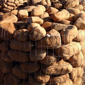 Boulders - River or Tennessee Cobble